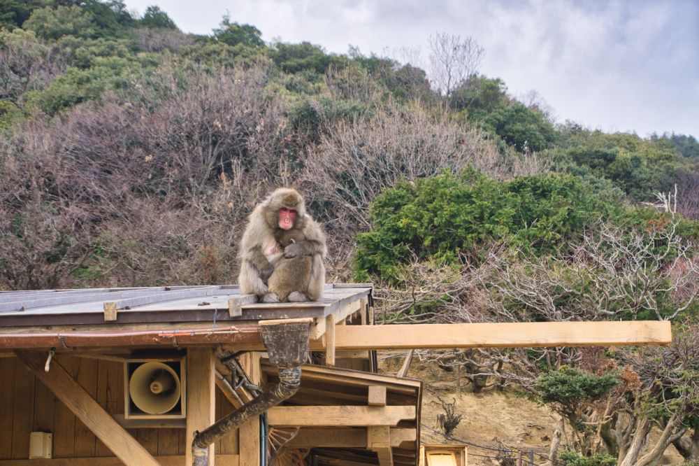 Japan