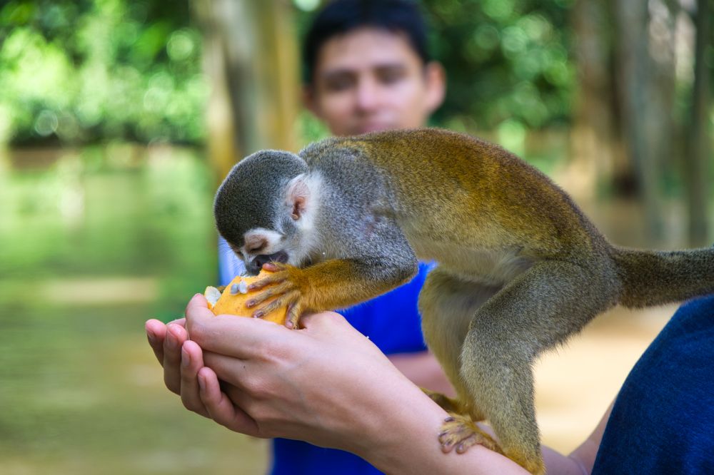 Peru