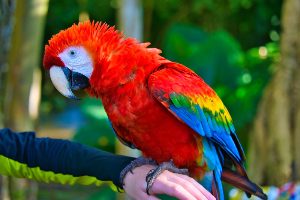 Peru