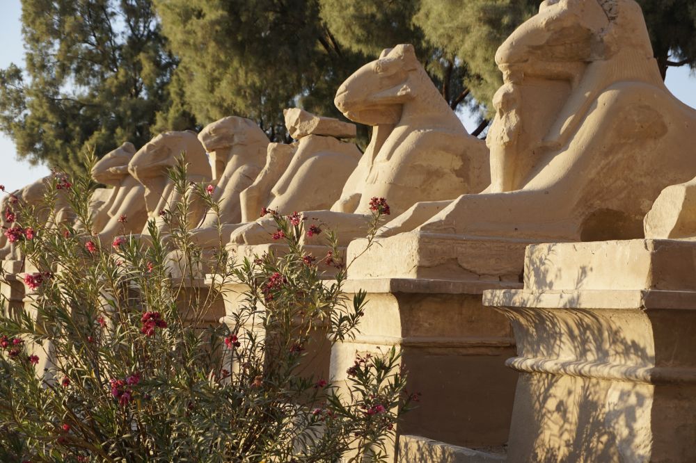 Egypt