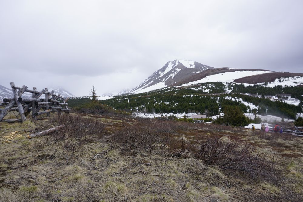 Alaska