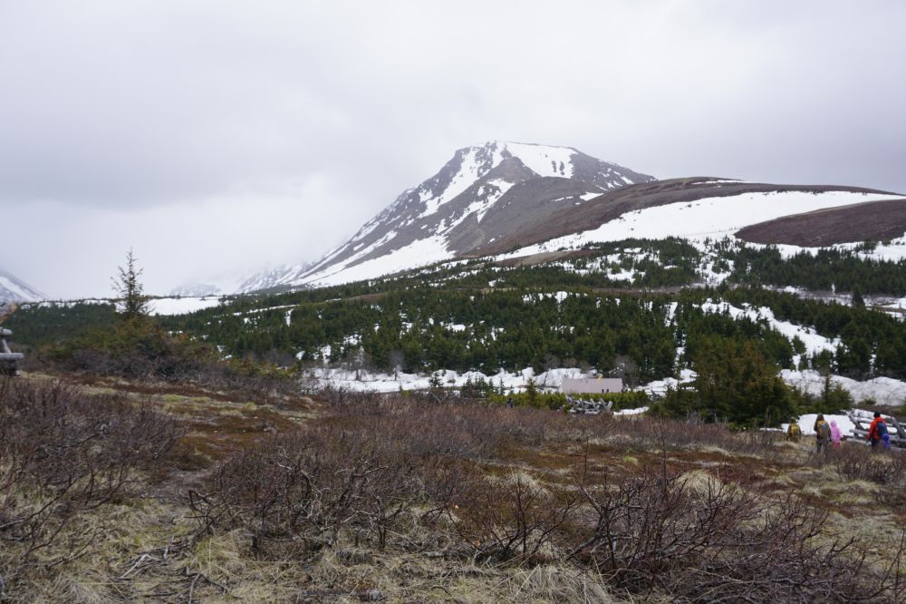 Alaska