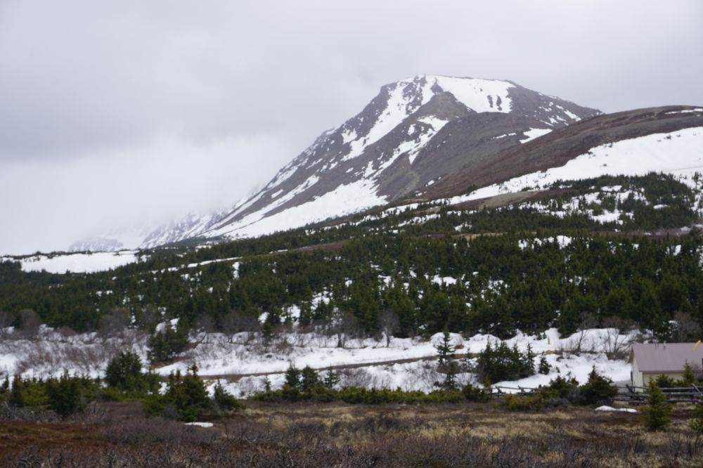 Alaska