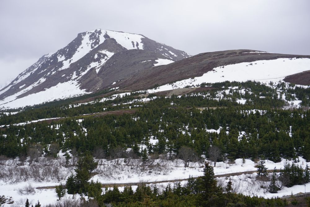 Alaska