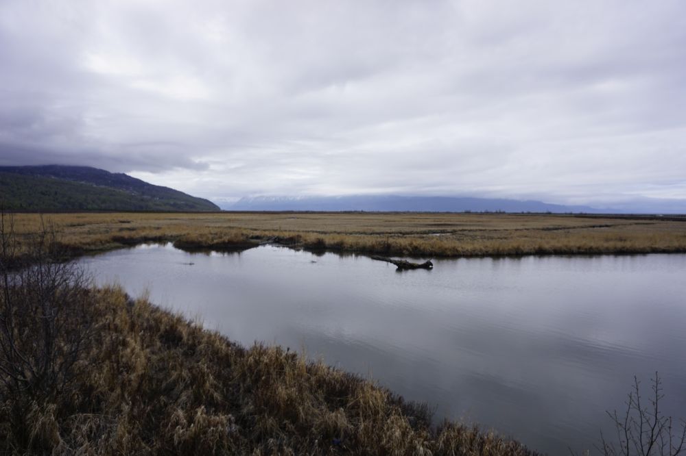 Alaska