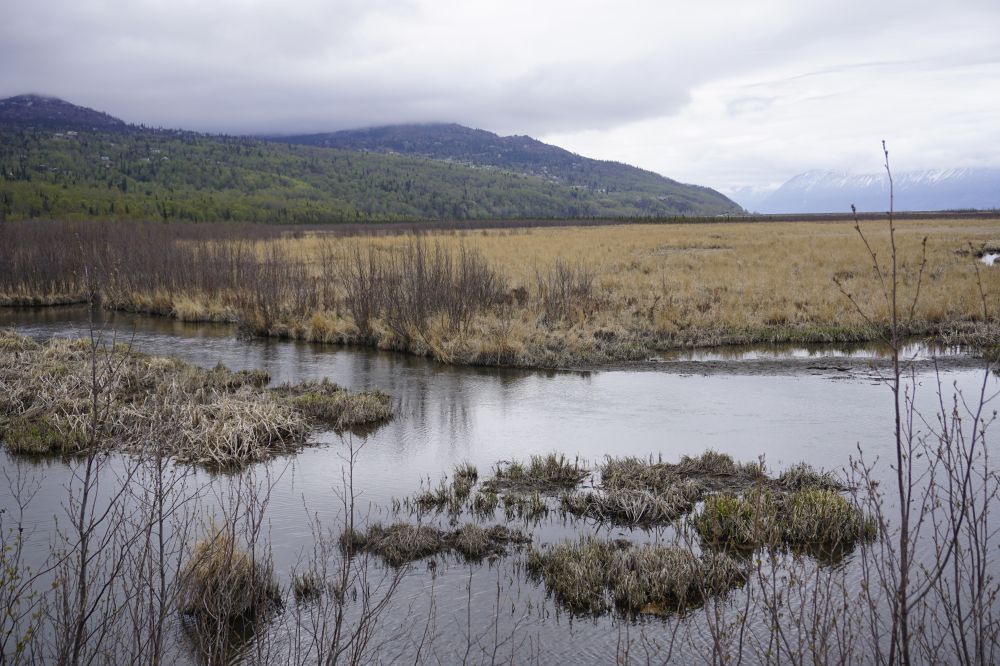 Alaska