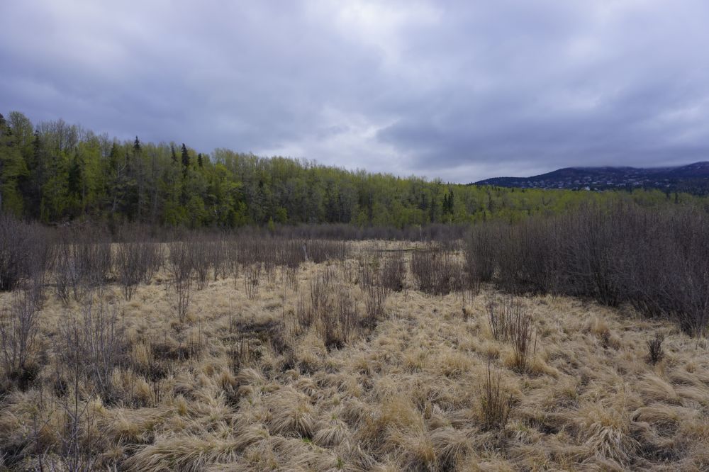 Alaska