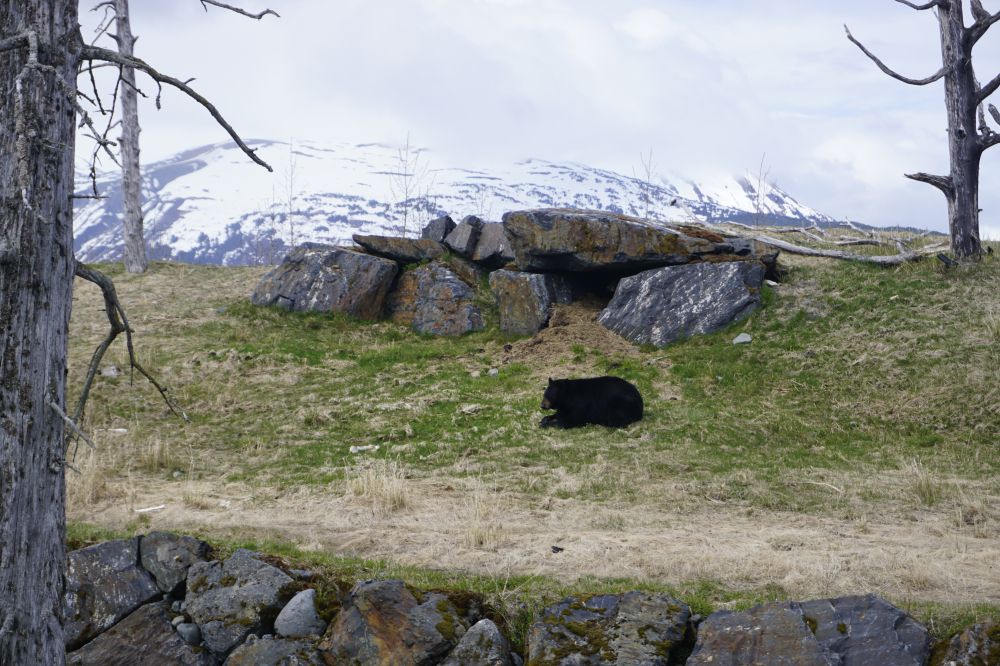 Alaska