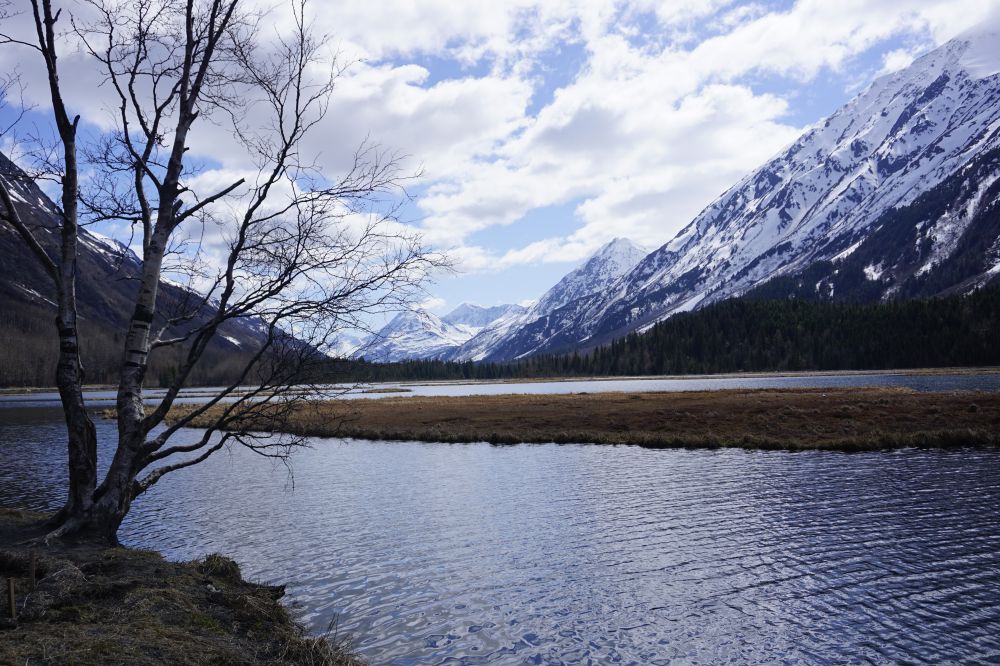 Alaska