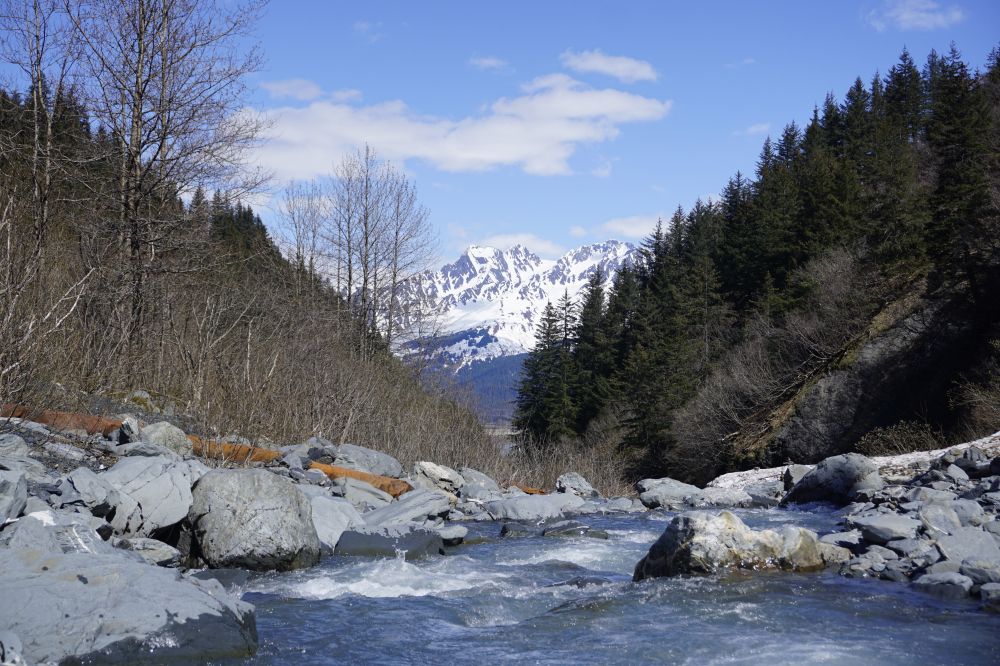 Alaska