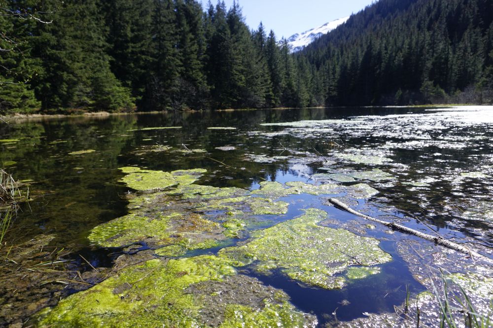 Alaska