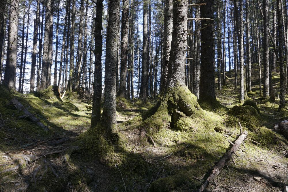 Alaska