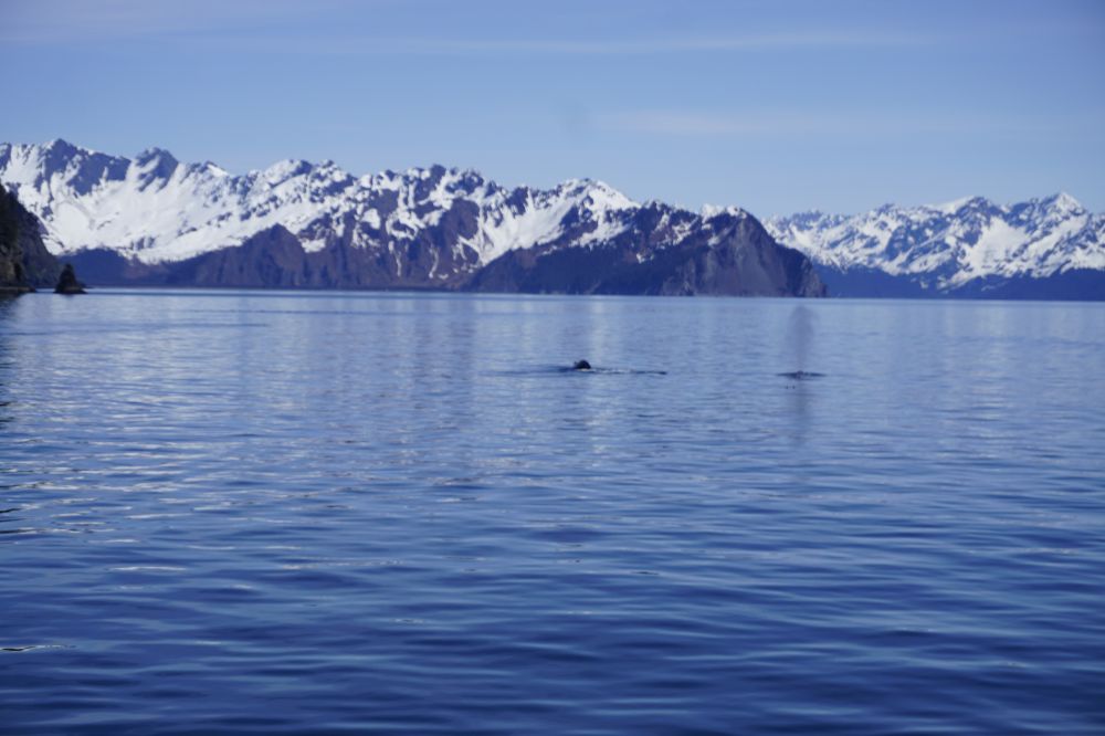 Alaska