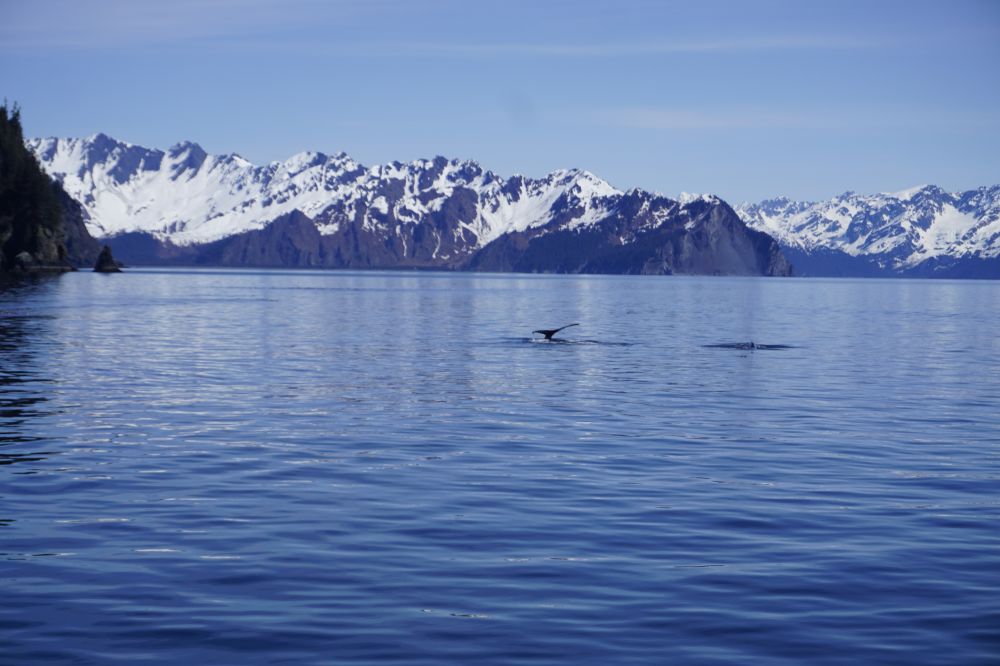 Alaska