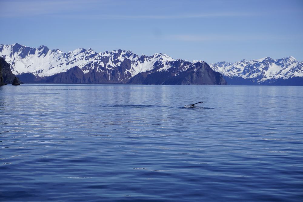 Alaska