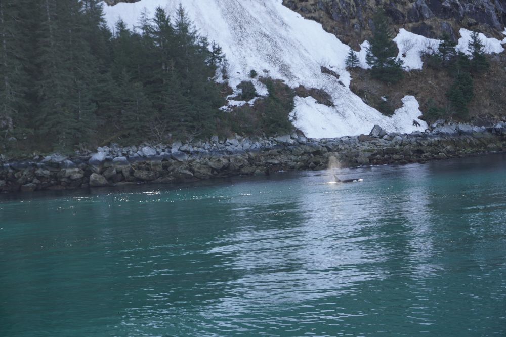 Alaska