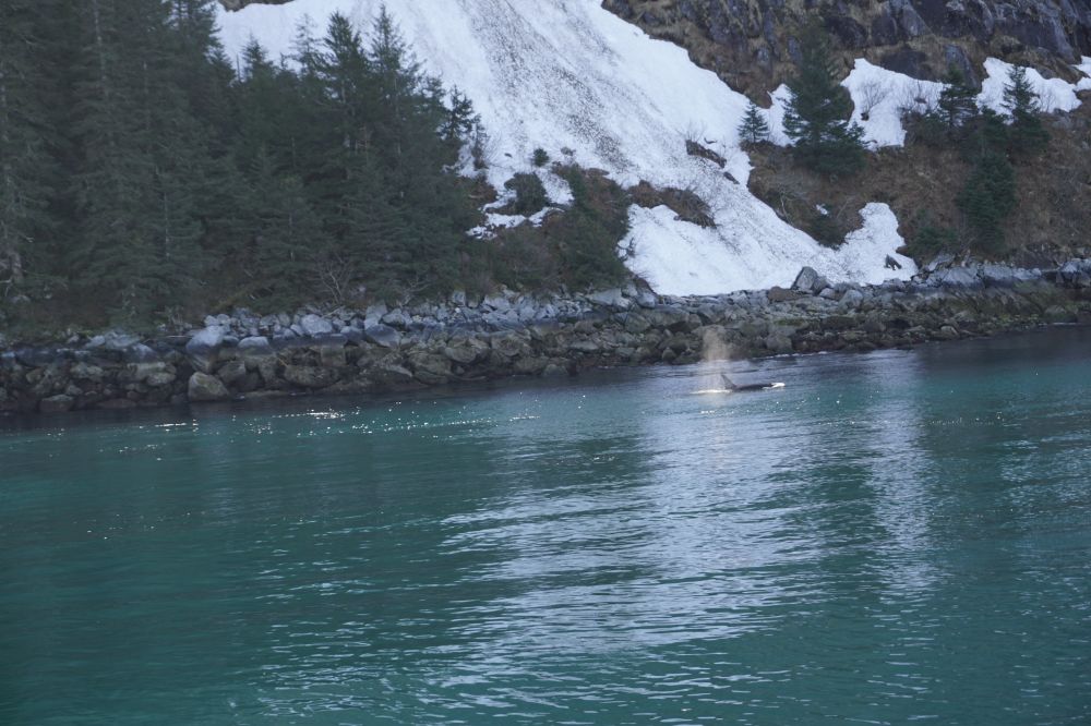 Alaska