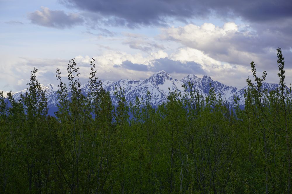 Alaska