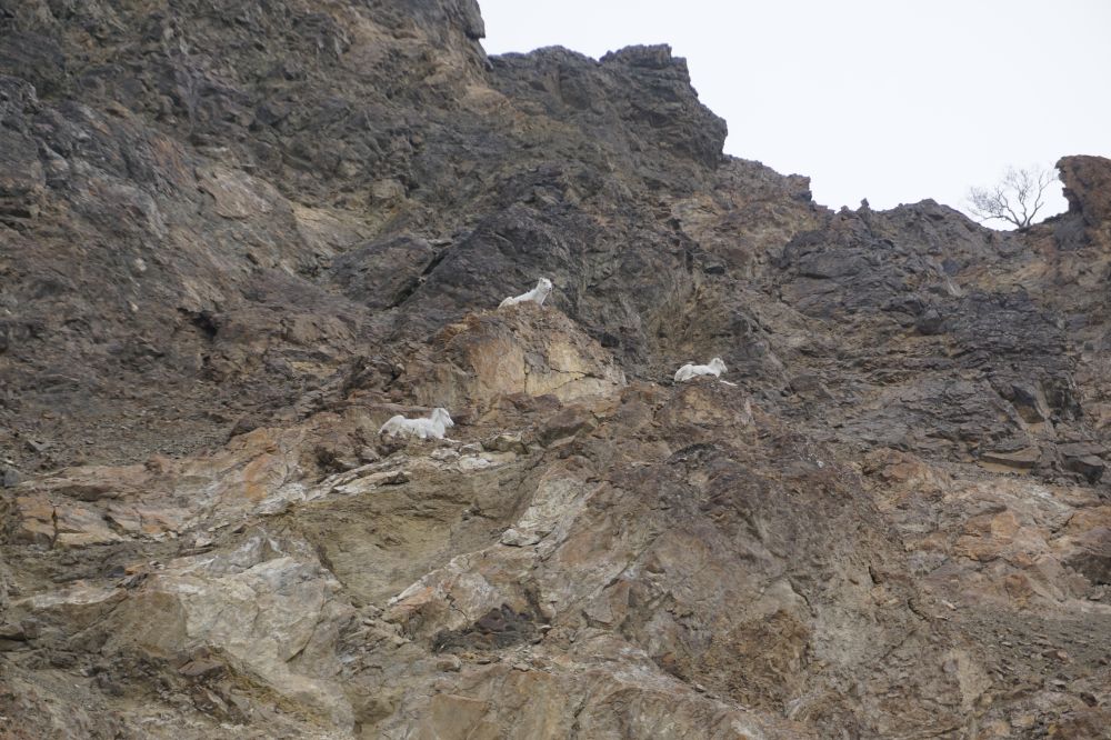 Alaska