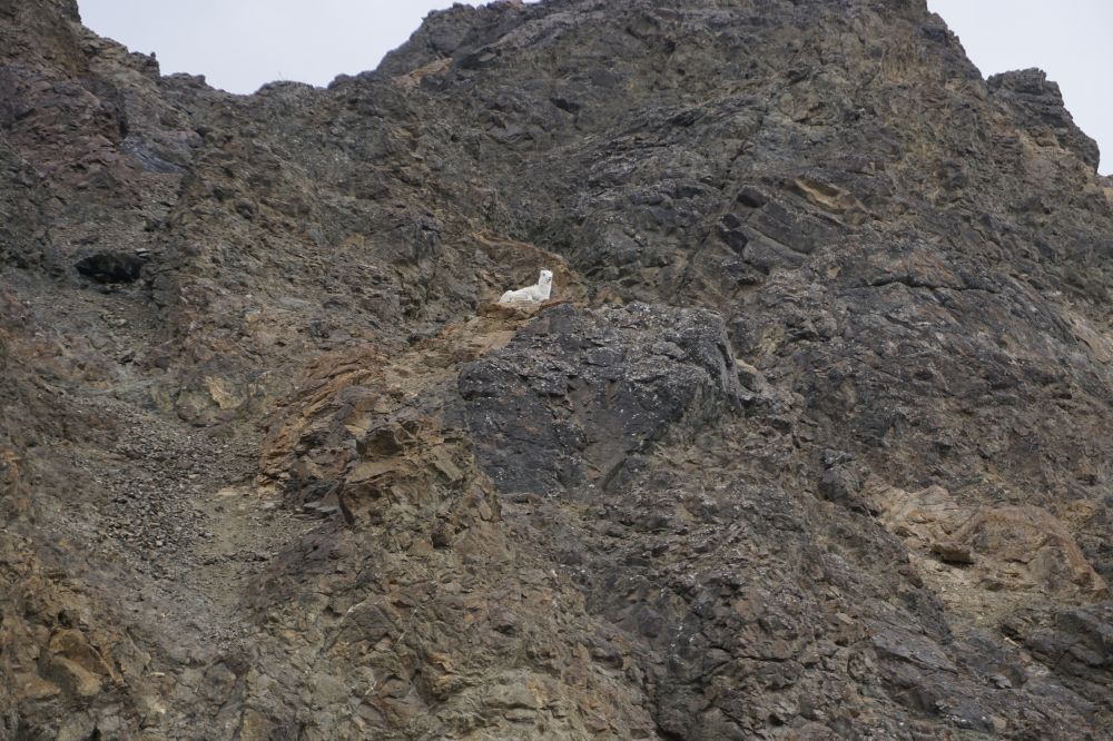 Alaska