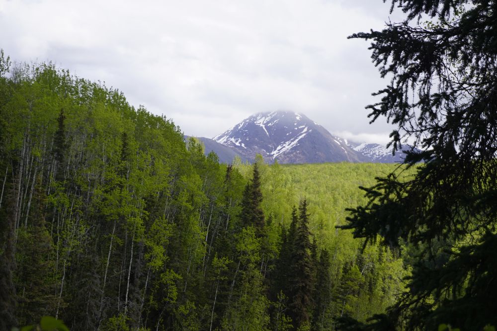 Alaska