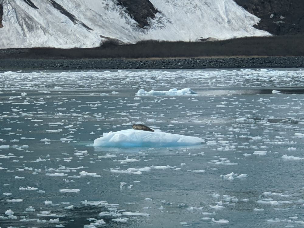 Alaska