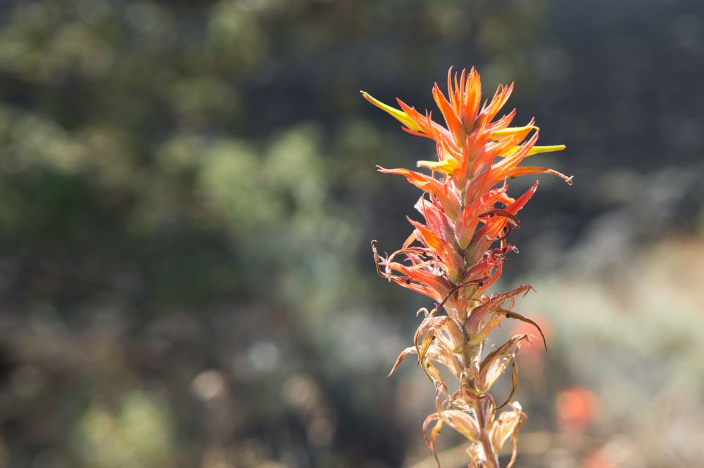Southwest Oregon