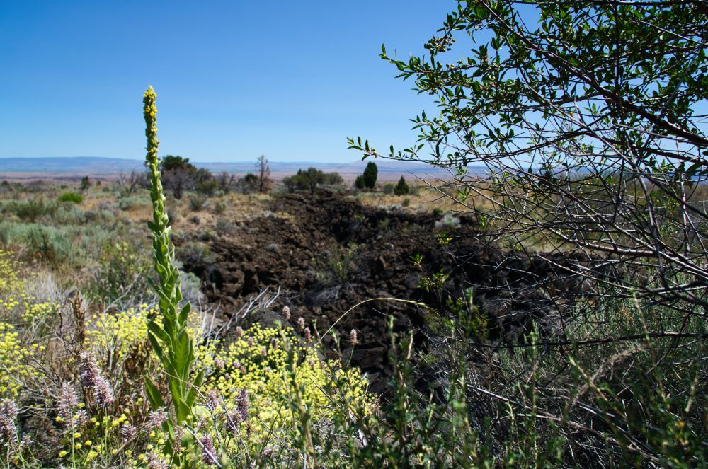 Southwest Oregon