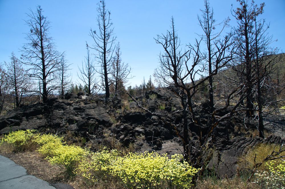 Southwest Oregon