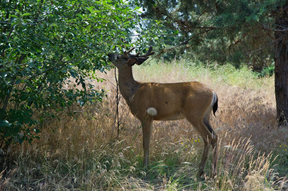 Southwest Oregon