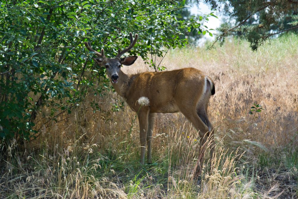 Southwest Oregon