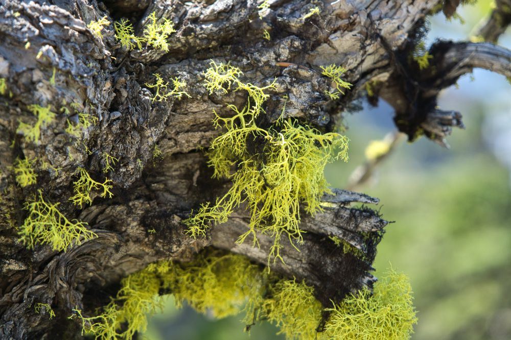 Southwest Oregon