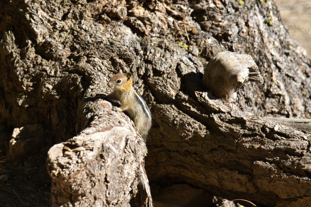 Southwest Oregon