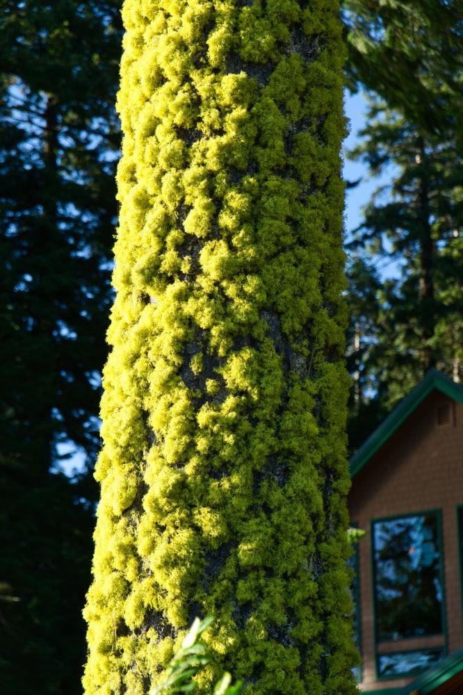 Southwest Oregon