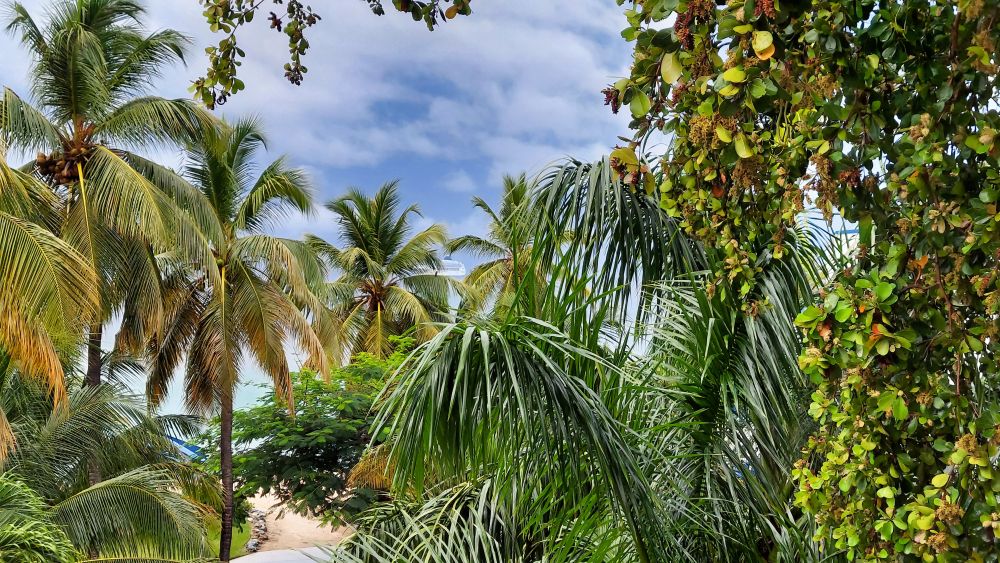 US Virgin Islands
