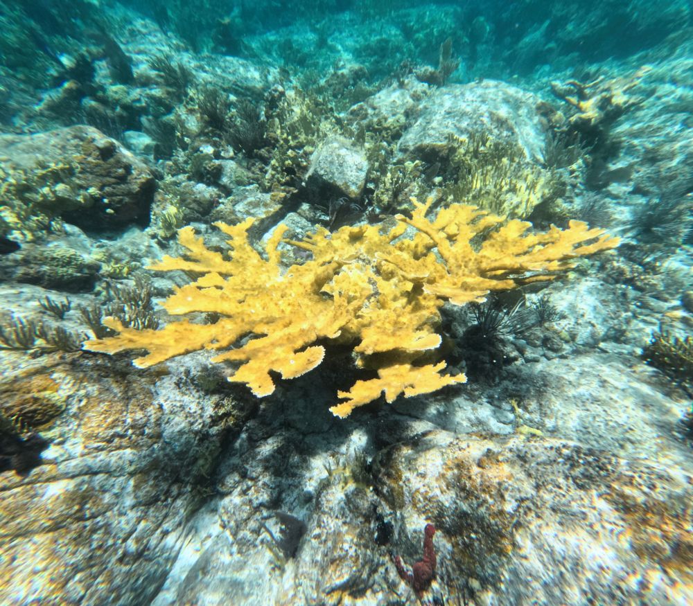 US Virgin Islands
