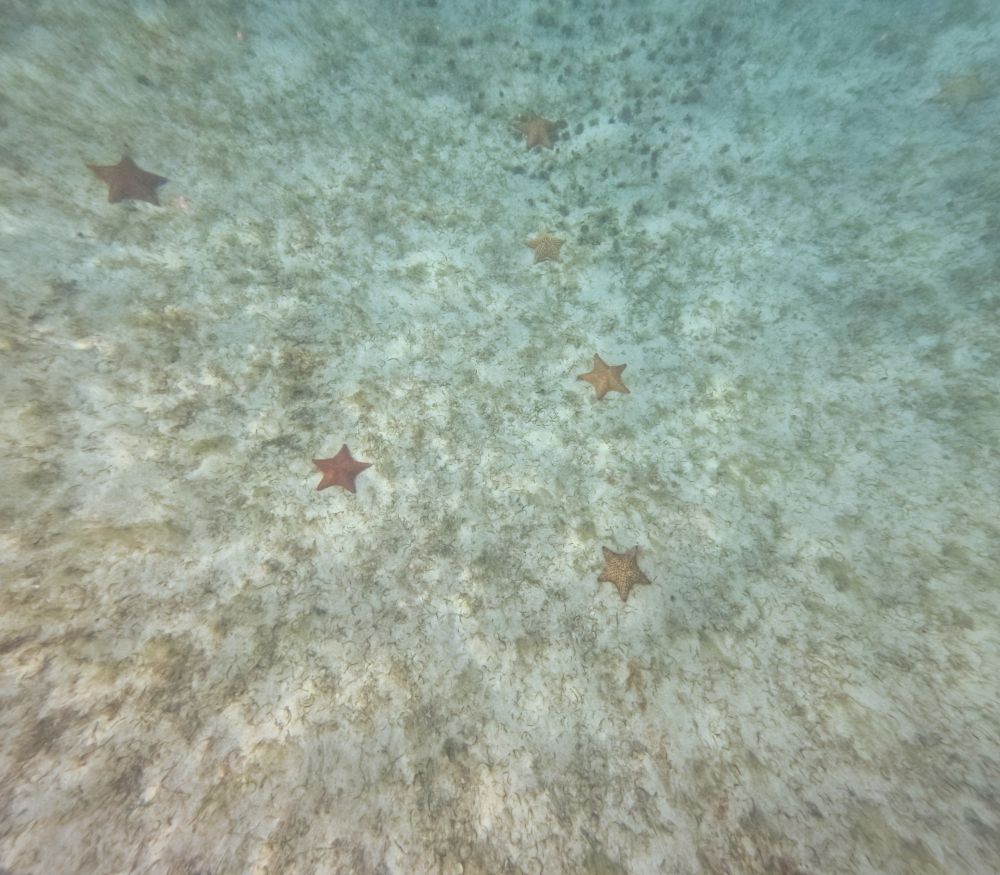 US Virgin Islands
