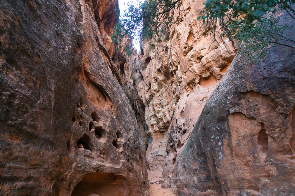 St. George Utah & Surroundings
