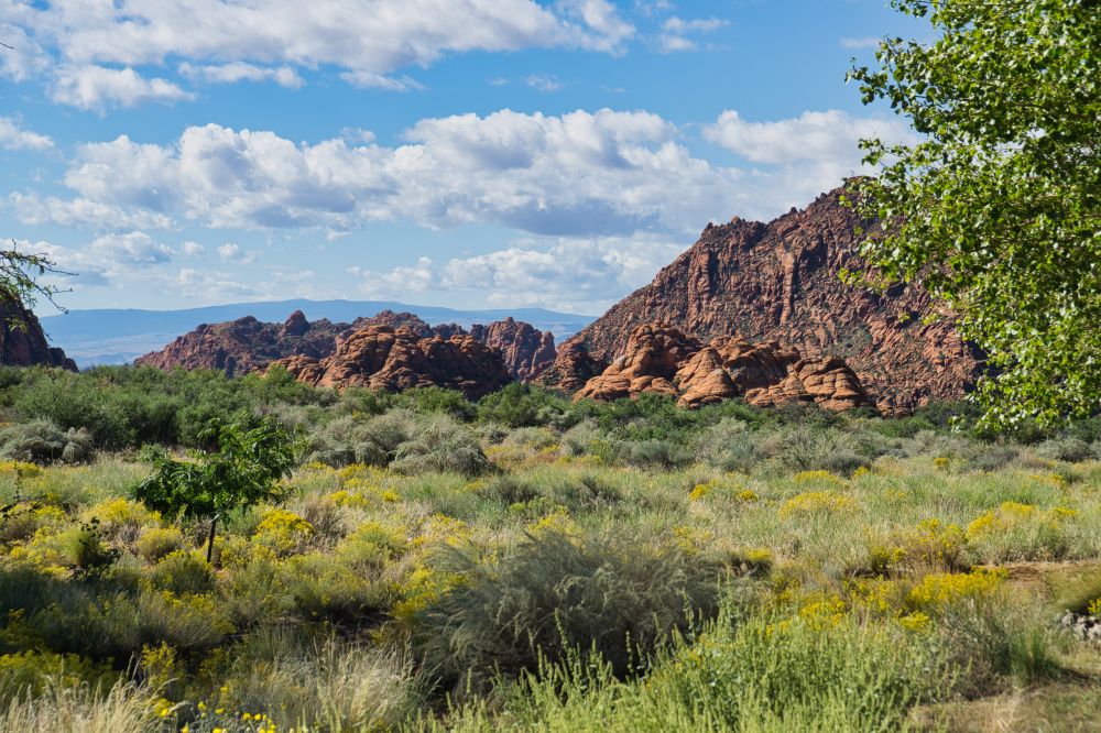 St. George Utah & Surroundings
