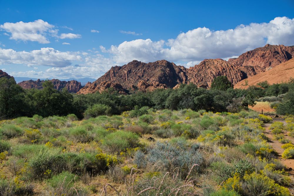 St. George Utah & Surroundings
