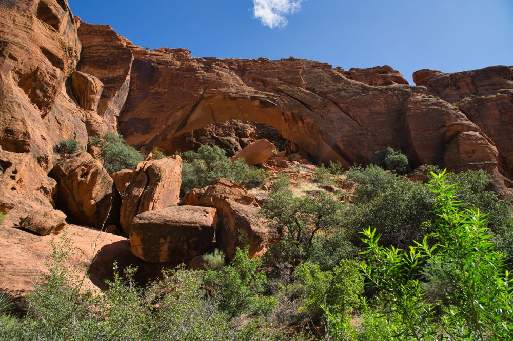 St. George Utah & Surroundings