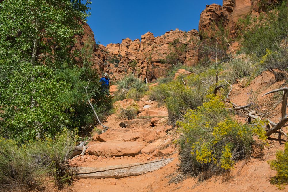 St. George Utah & Surroundings