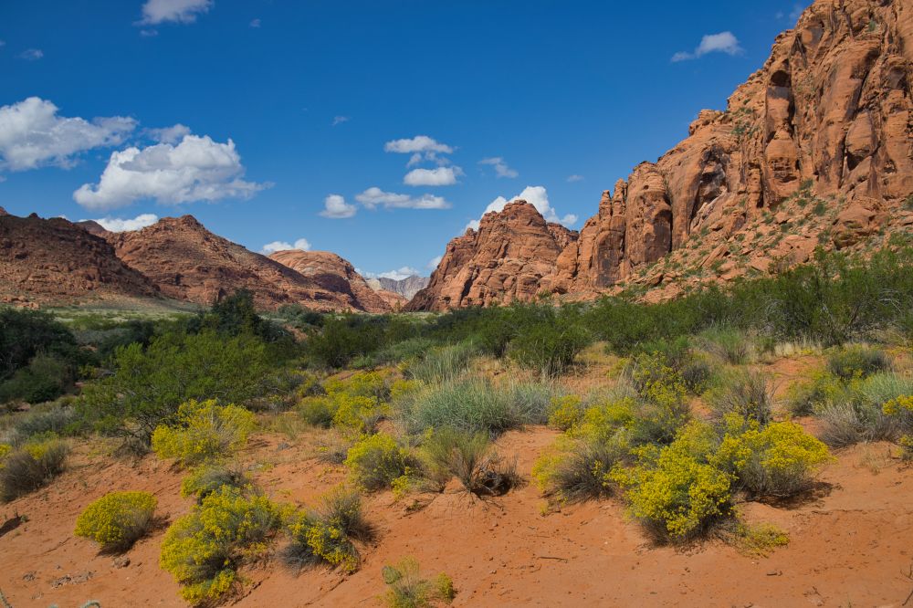 St. George Utah & Surroundings