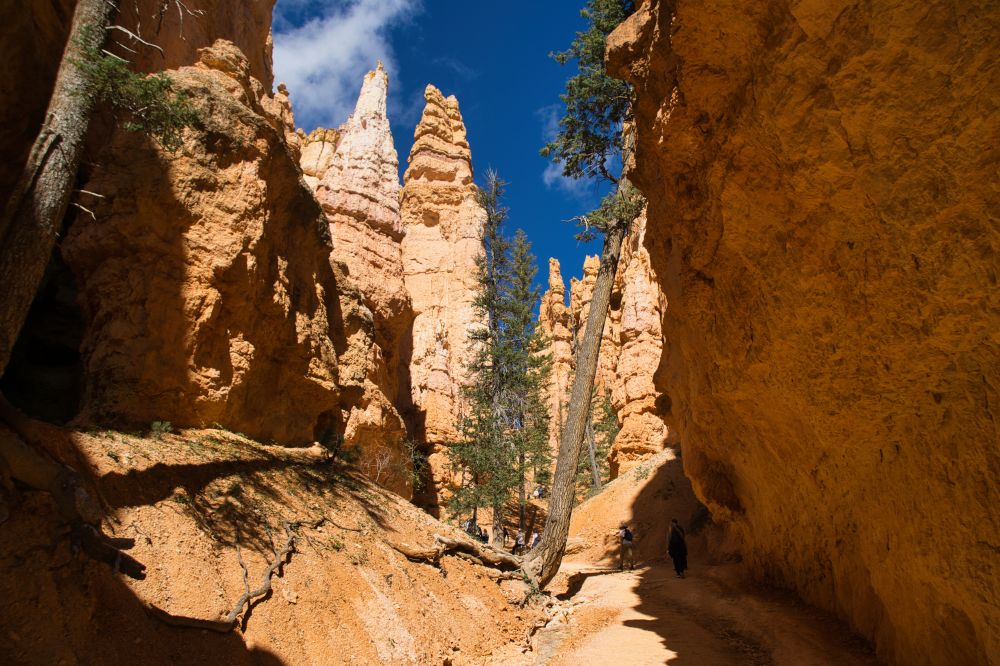 St. George Utah & Surroundings