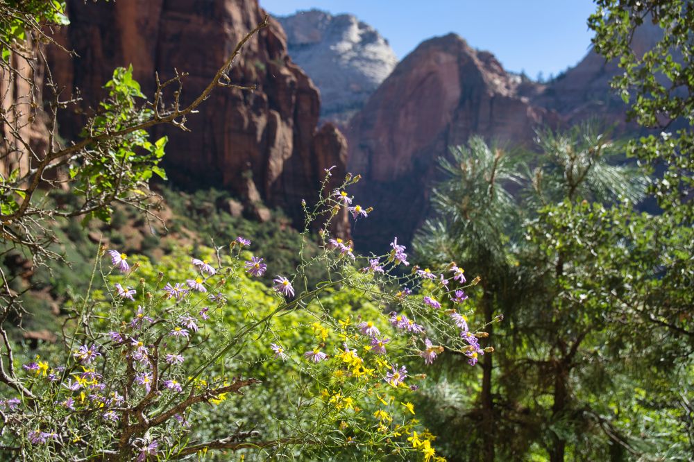 St. George Utah & Surroundings