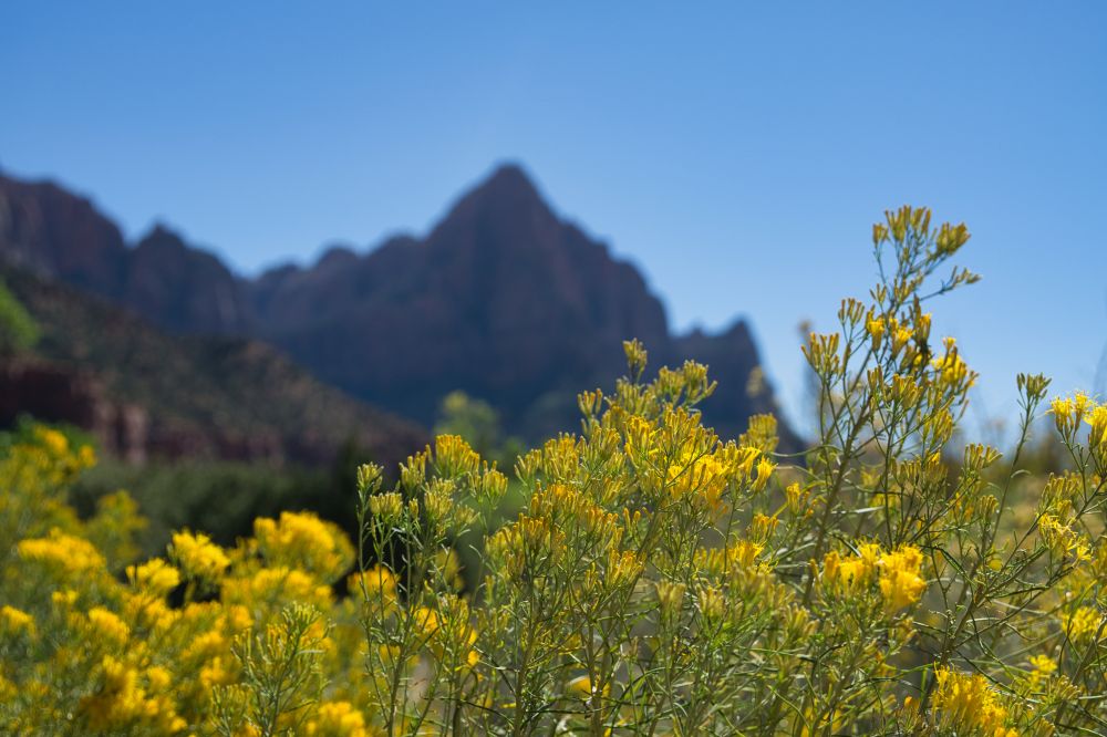 St. George Utah & Surroundings